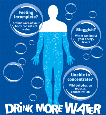 Seberapa Banyak Minum Air Putih Supaya Sehat? 
