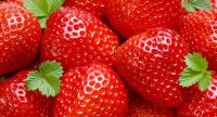 Khasiat dan Manfaat Buah Strawberry