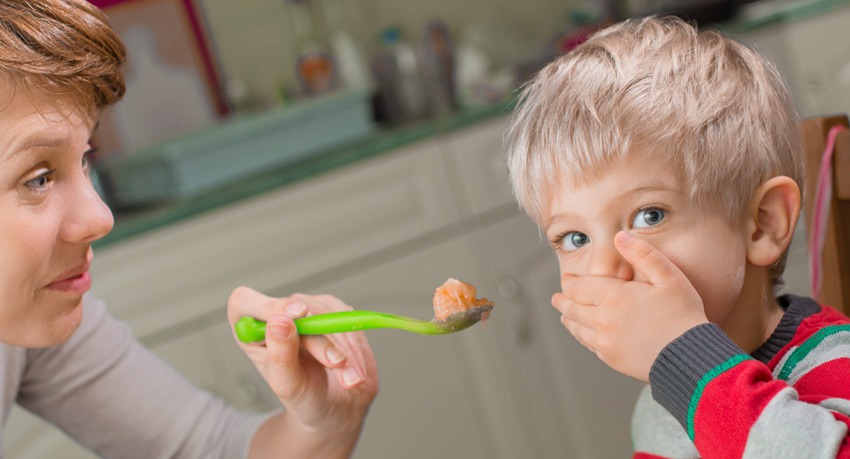 Beberapa Tips Membuat Anak Tidak Susah Makan
