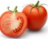 Manfaat Buah Tomat Dimakan Mentah